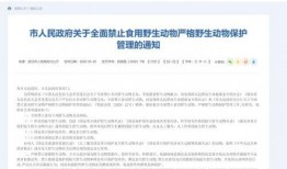 社会新闻爆料公众号,最新爆料公众号深度解析