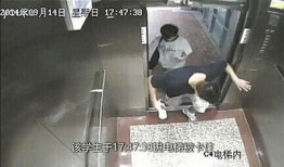 厦门新闻大爆料视频,最新热点事件深度解析