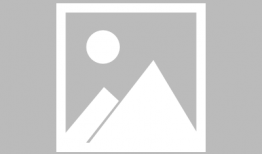 陈导直播爆料视频大全最新