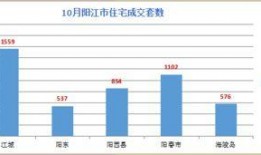 热点爆料阳江新闻网最新消息,揭秘阳江某重大事件真相！