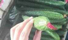 最新吃瓜爆料河北邢台