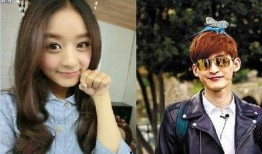 狗仔爆料张翰视频大全集,张翰视频大全集幕后故事