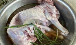 玉林腊肉爆料事件视频大全,真相与争议并存