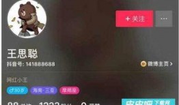 抖音爆料王思聪视频,揭秘娱乐圈背后的奢华生活