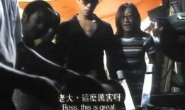 疯狂小扬哥爆料视频大全,揭秘幕后真相与趣味瞬间