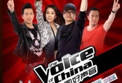 好声音爆料凯哥视频完整版,凯哥视频完整版曝光，精彩瞬间不容错过