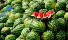 全网吃瓜网红有哪些,揭秘网络红人的幕后故事