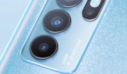 鱼神岛新成员爆料视频在线观看,揭秘神秘岛内幕