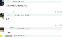 三个爆料视频在线播放,三部爆料视频背后的惊人真相