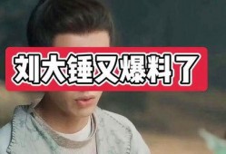 刘大锤爆料完整版视频,事件真相全解析