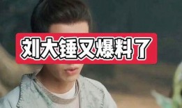 刘大锤爆料完整版视频,事件真相全解析