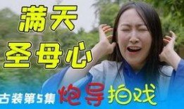 火影爆料视频配音是谁配的,揭秘配音演员背后的故事