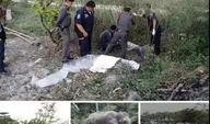 重庆导游胖墩墩爆料视频,带你领略山城独特魅力