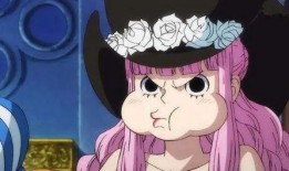 佩罗娜爆料视频大全集下载,揭秘幕后真相与精彩瞬间