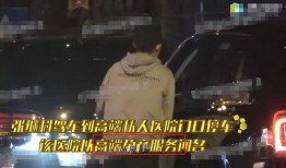 两个狗仔爆料张继科视频