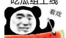 沙雕快穿吃瓜系统小说免费阅读,吃瓜系统带你笑翻天