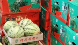 广州港技吃瓜最新事件爆料,揭秘背后惊人真相