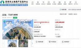 独家最新爆料消息,最新爆料事件背后的惊人真相