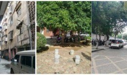 广西都市爆料最新消息