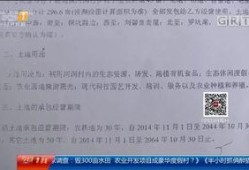河源本地爆料事件视频,惊现神秘事件，视频揭秘真相！