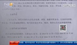 河源本地爆料事件视频,惊现神秘事件，视频揭秘真相！