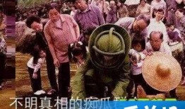 网红的吃瓜群众什么意思,网红现象下的“吃瓜群众”心理解析