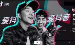 黑石采访爆料是真的吗视频,揭秘真相背后的惊人内幕