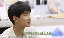 王源娱乐圈吃瓜大爆料,那些不为人知的幕后故事