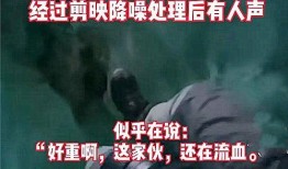 爆料阆中猛哥事件视频完整版,视频完整版揭露惊人真相