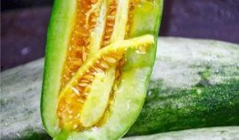 网红吃瓜视频大全,揭秘娱乐圈幕后故事