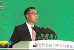 深圳刘老板爆料新闻,揭秘背后惊人真相