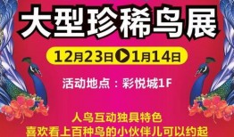 辽源新闻爆料最新消息,重大事件引发社会关注