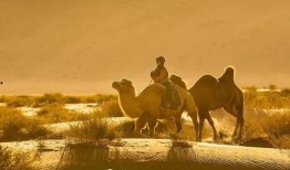 大漠奇缘在线观看,穿越大漠，探寻神秘传奇之旅