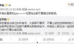 四大绯闻爆料视频播放大全,四大绯闻视频播放大全深度解析