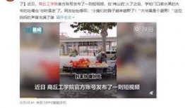 商丘网友爆料新闻视频大全,新闻视频大全精彩回顾