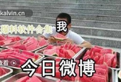 最新的吃瓜爆料视频大全