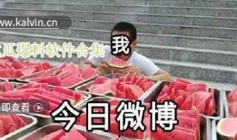 最新的吃瓜爆料视频大全