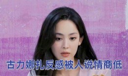 娜扎被爆料视频大全最新,揭秘娱乐圈背后的真相