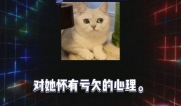 娱乐圈算卦吃瓜,算卦揭秘明星命运之谜