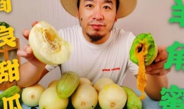 网红的吃瓜群众什么意思,网红现象下的“吃瓜群众”心理解析