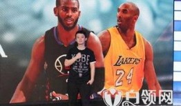 爆料篮球解说视频大全,精彩瞬间回顾与专业点评
