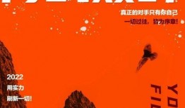 奔跑少年主播爆料视频播放,爆款视频背后的播放奇迹