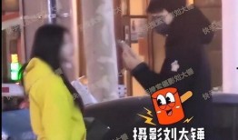 刘大锤爆料完整版视频,事件真相全解析