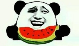 娱乐吃瓜酱喜欢就要争取,娱乐吃瓜酱的甜蜜爱情宣言