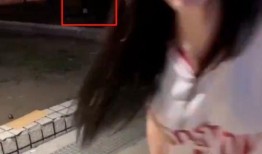 台湾女子爆料视频大全集,揭秘真实事件背后的真相