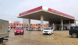临沂加油站爆料视频曝光,揭秘油品质量与价格猫腻