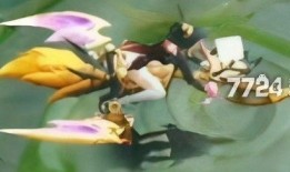 戈娅最新皮肤爆料视频,炫彩光影，魅力四溢！