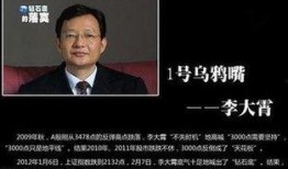 李大霄最新视频爆料,股市风向标再起，投资策略大揭秘！