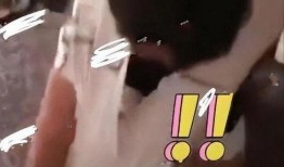 郑爽爆料小三视频大全集,视频大全集深度解析