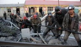 鸡东爆料真实事件最新,惊曝当地惊天大案，真相令人震惊！